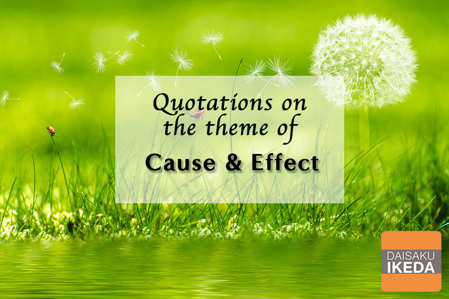 Quotations On The Theme Of Cause And Effect Daisaku Ikeda Website