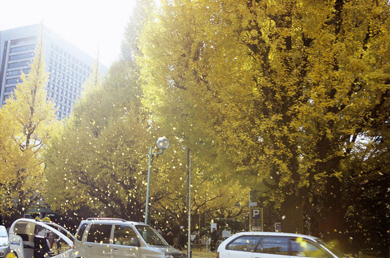 <b></b> 日本，東京 (2005年11月)