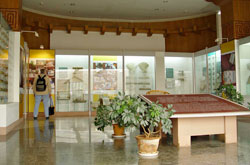 Sala de exposición del Museo de las Naciones del Yunnan